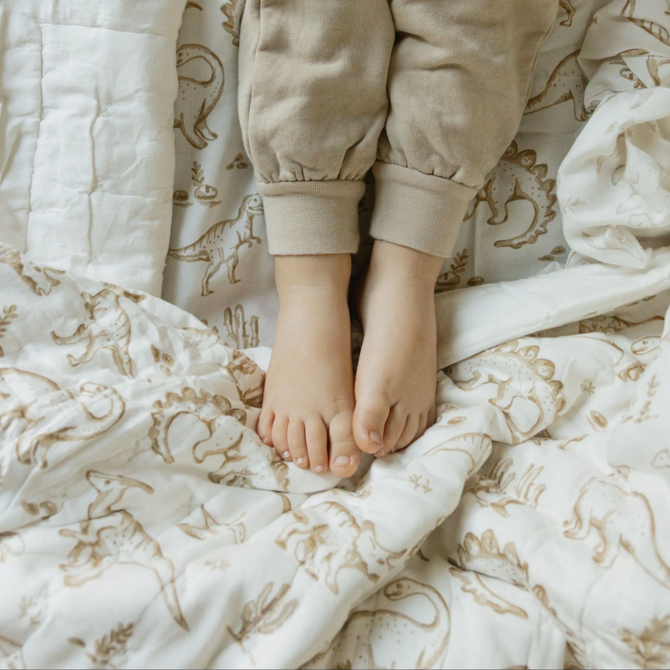 Organic Kids Quilt - Dino Dreams - Image 4