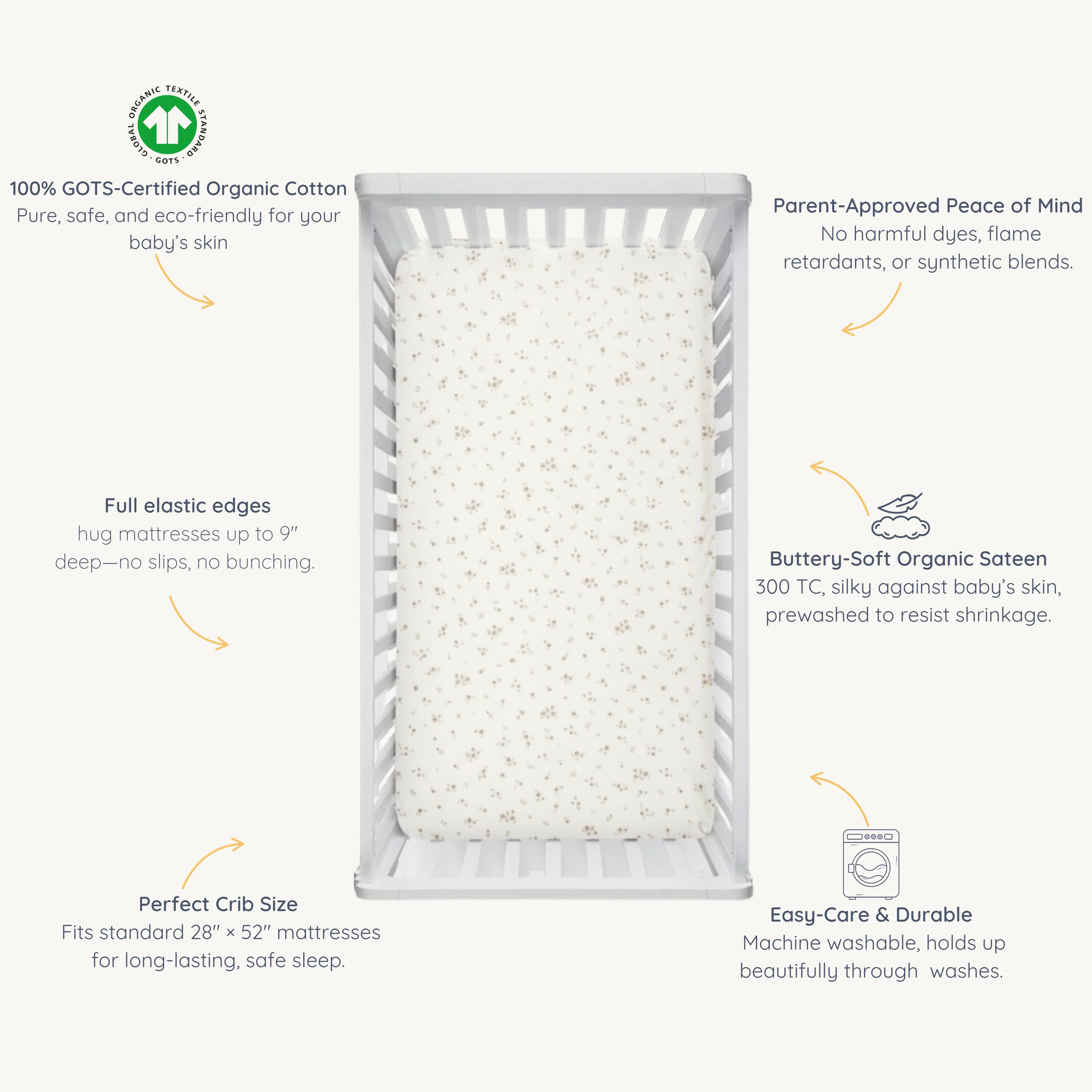 Organic Crib Sheet - Bloom - Image 6