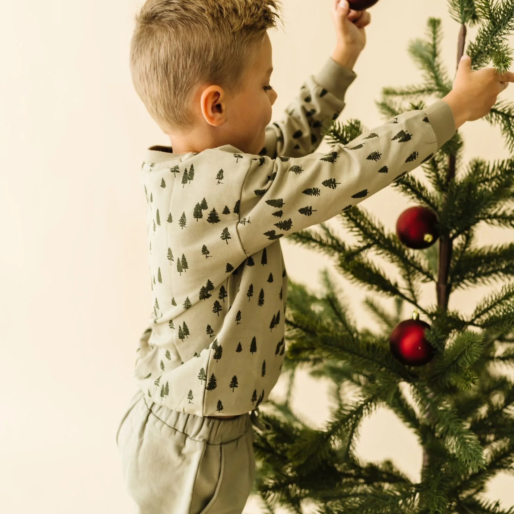 Organic Fleece Sweatshirt - Alpine - Image 3